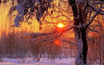 The Longest Night 12 21 25