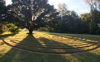 April 2026 rector April 2026 rector